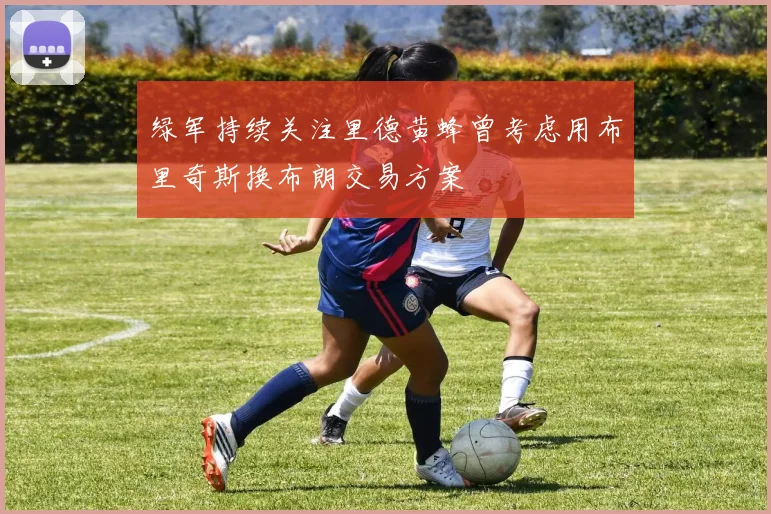绿军持续关注里德黄蜂曾考虑用布里奇斯换布朗交易方案
